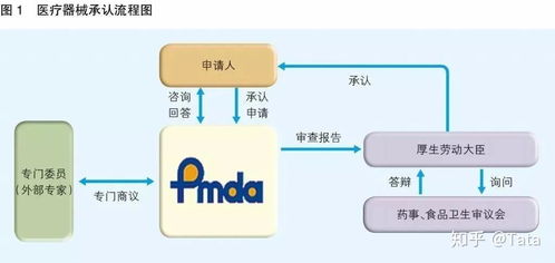 口罩出口通关申报超清晰指南